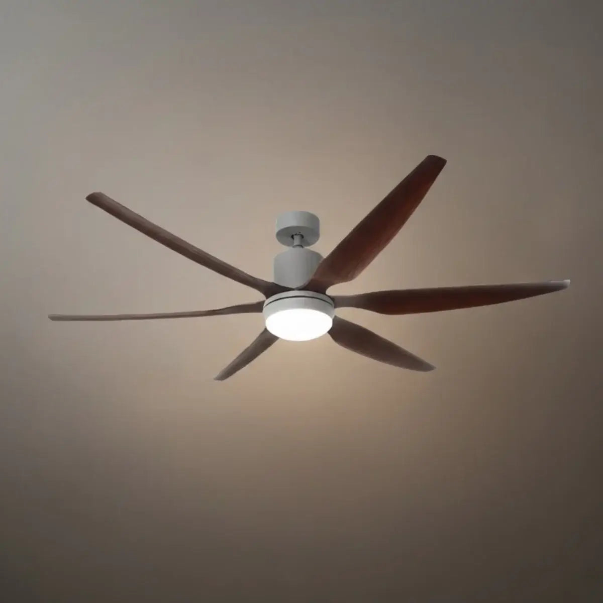 Morandia Modern Ceiling Fan Light
